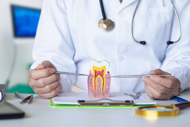Best Weekend Emergency Dentist in Toledo, IL